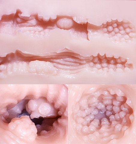 Lỗ âm đạo và hậu môn mô phỏng như thật của âm đạo giả giá rẻ